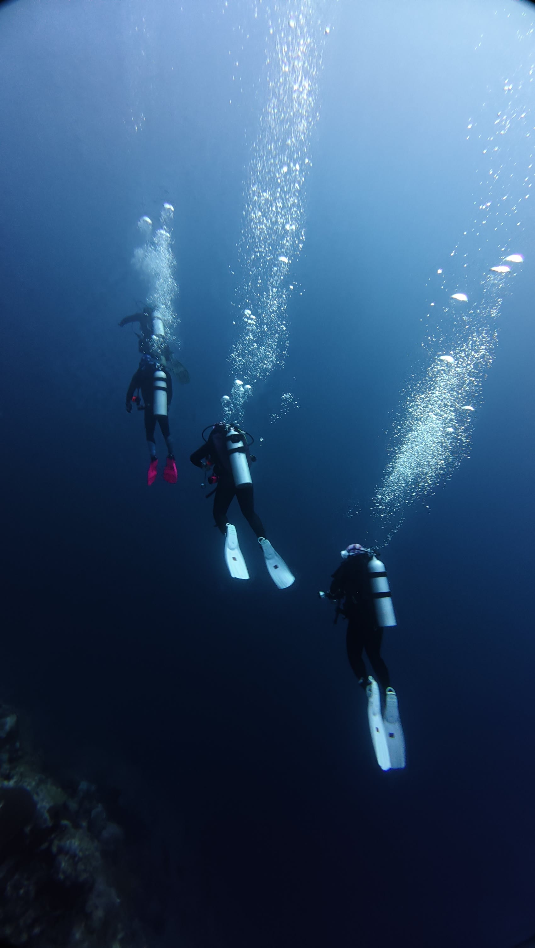 Divers descending through a curtain of bubbles