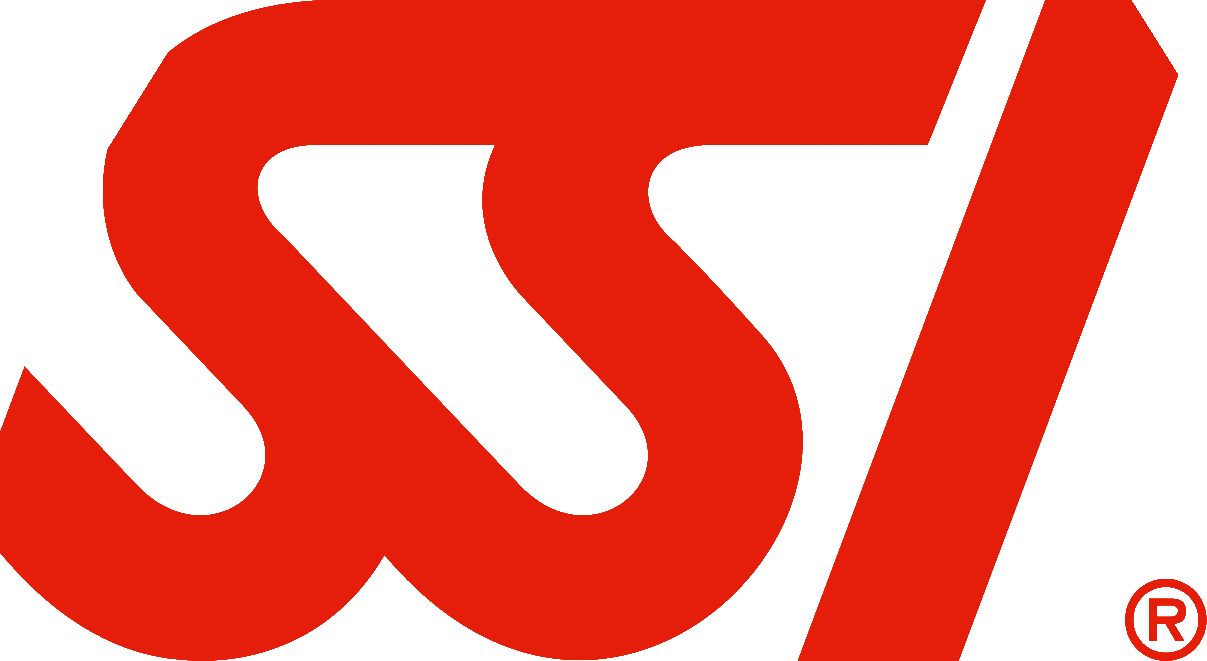 SSI
